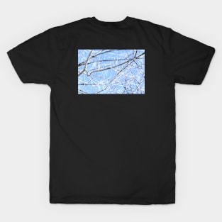 Kaleidoscope Therapy Winter Expression T-Shirt